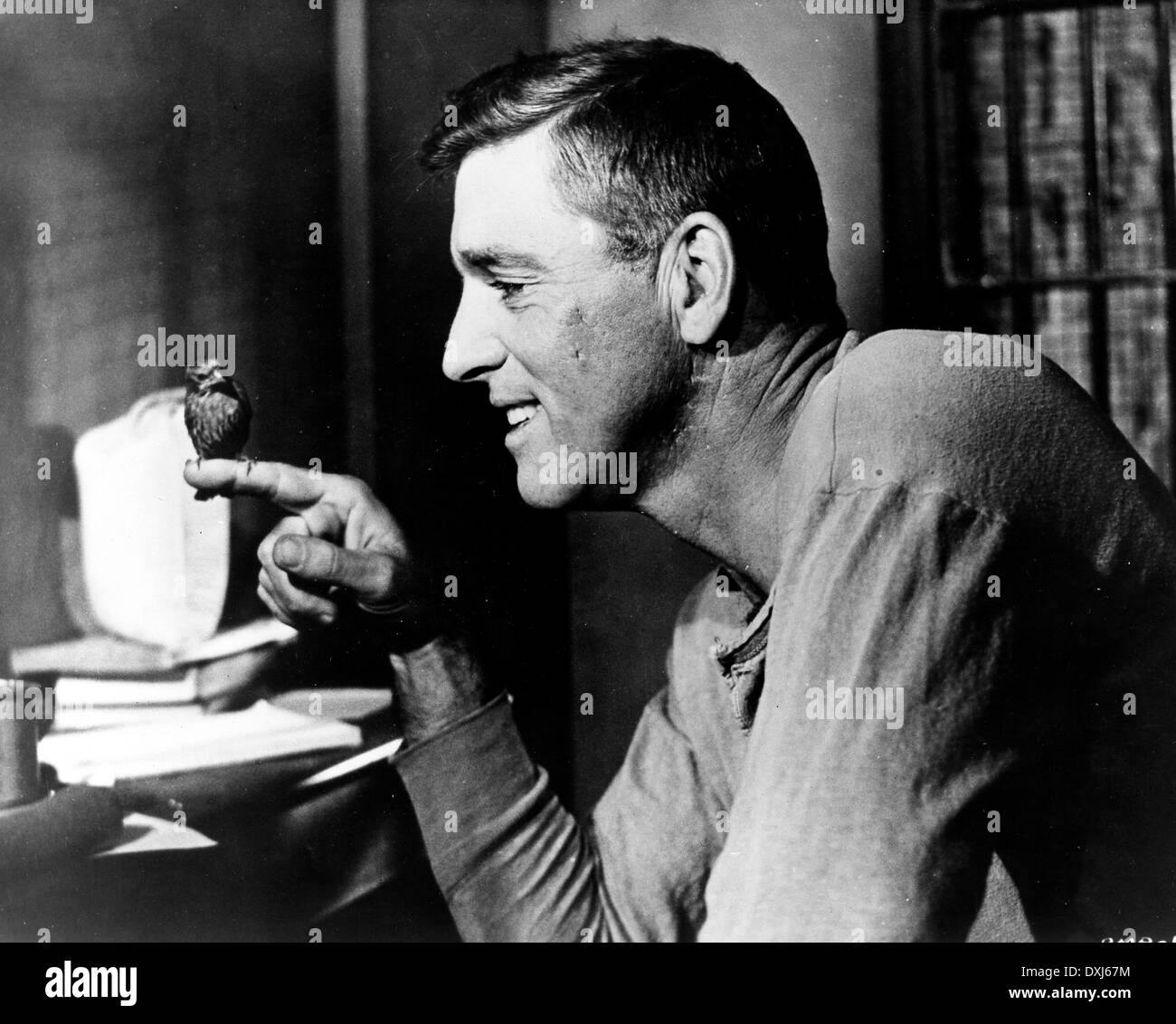 VOGELMANN VON ALCATRAZ Stockfoto