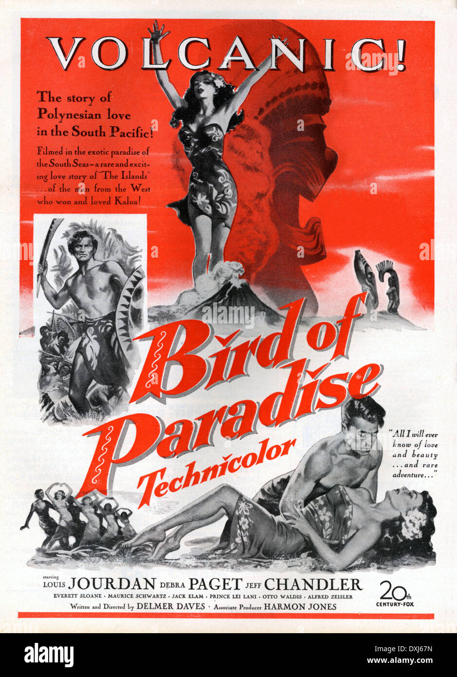 BIRD OF PARADISE Stockfoto