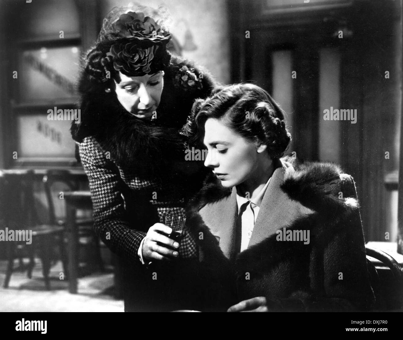 KURZE BEGEGNUNG Stockfoto