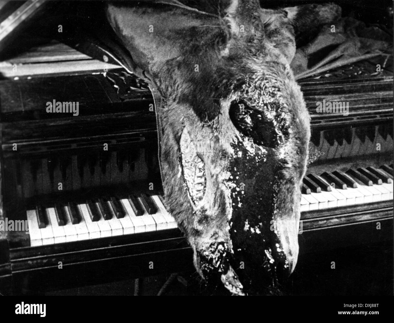 UN CHIEN ANDALOU Stockfoto