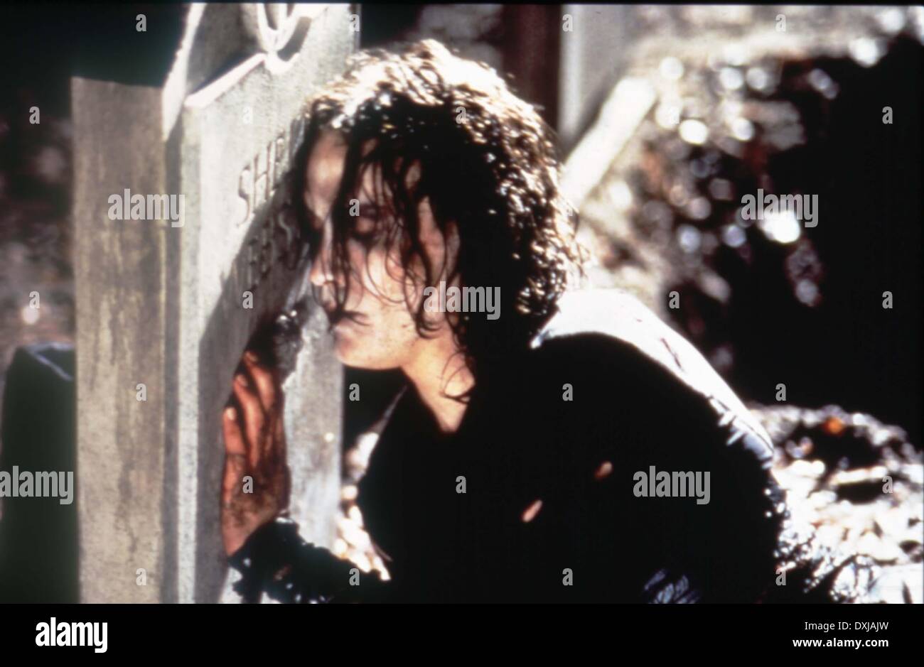 DIE KRÄHE Stockfoto