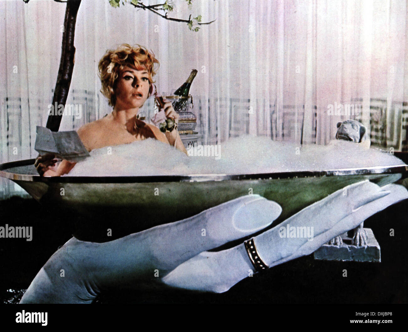 VERFALL UND UNTERGANG DES VOGELBEOBACHTER Stockfoto