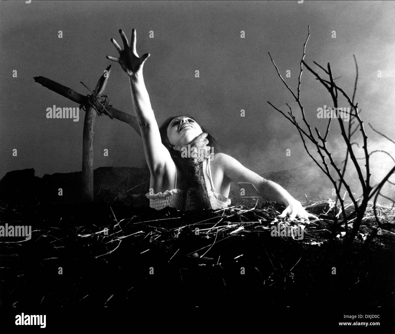 THE EVIL DEAD Stockfoto