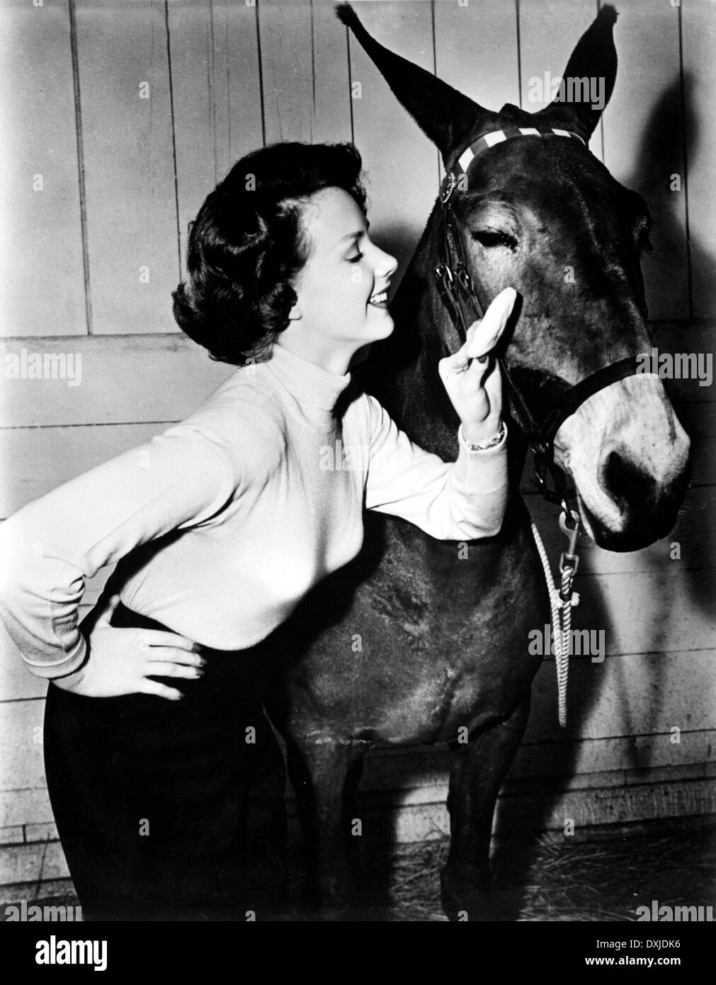 FRANZISKUS GEHT ZU DEN RENNEN Stockfoto