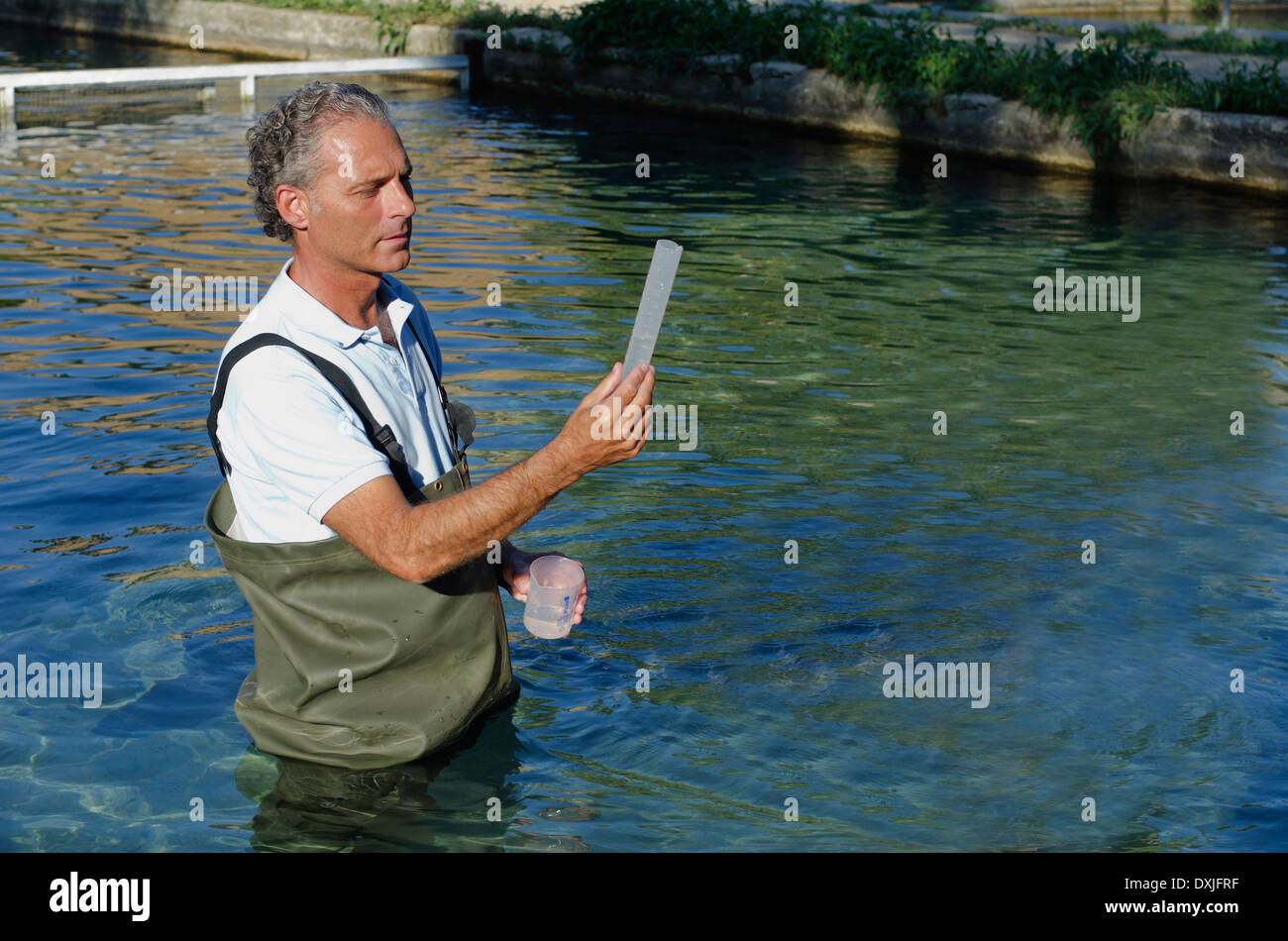 Mann im Planschbecken Hose Überprüfung Wasserprobe Stockfoto