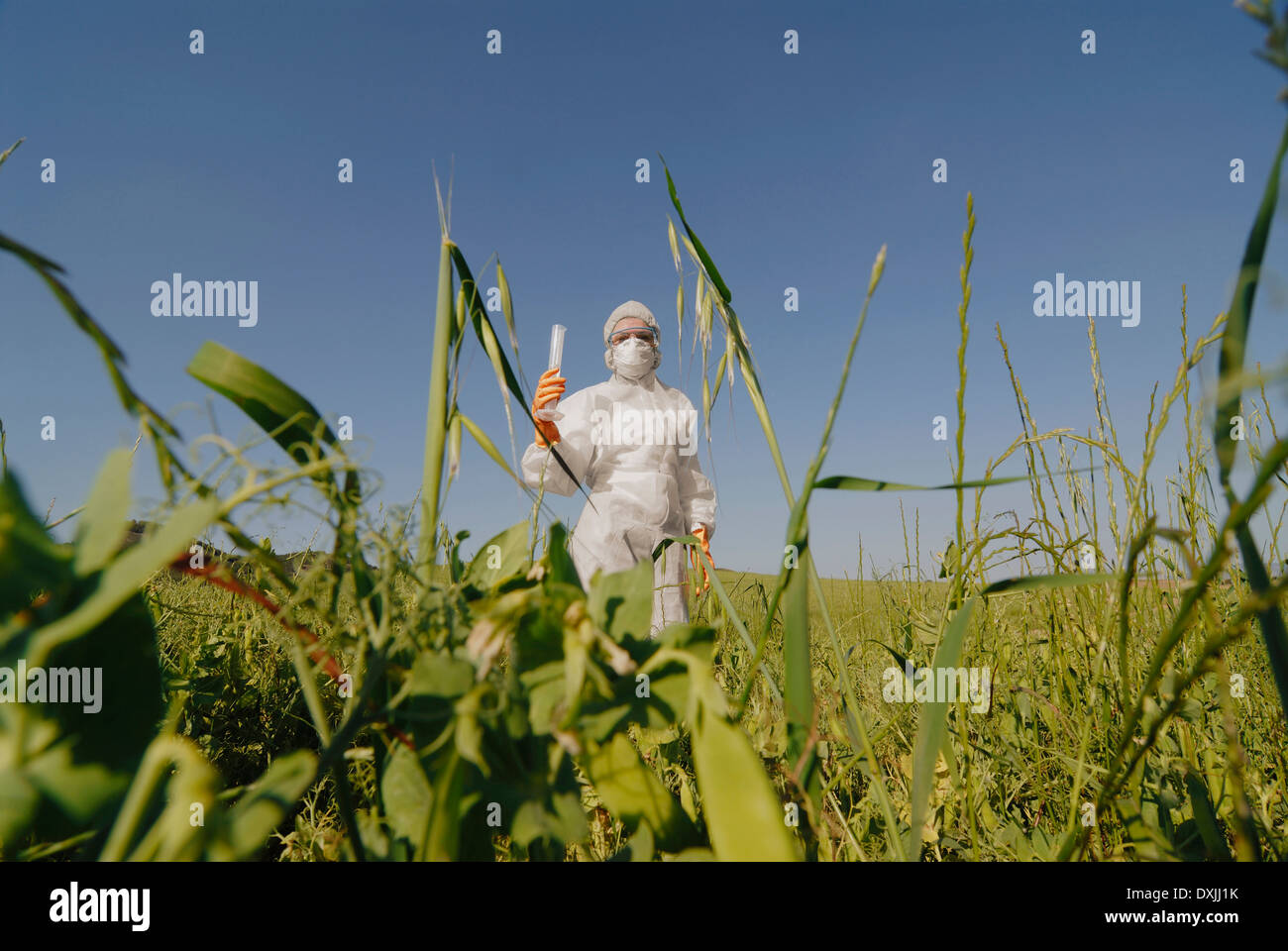 Frau im Blaumann stehen im Feld Halteröhrchen test Stockfoto