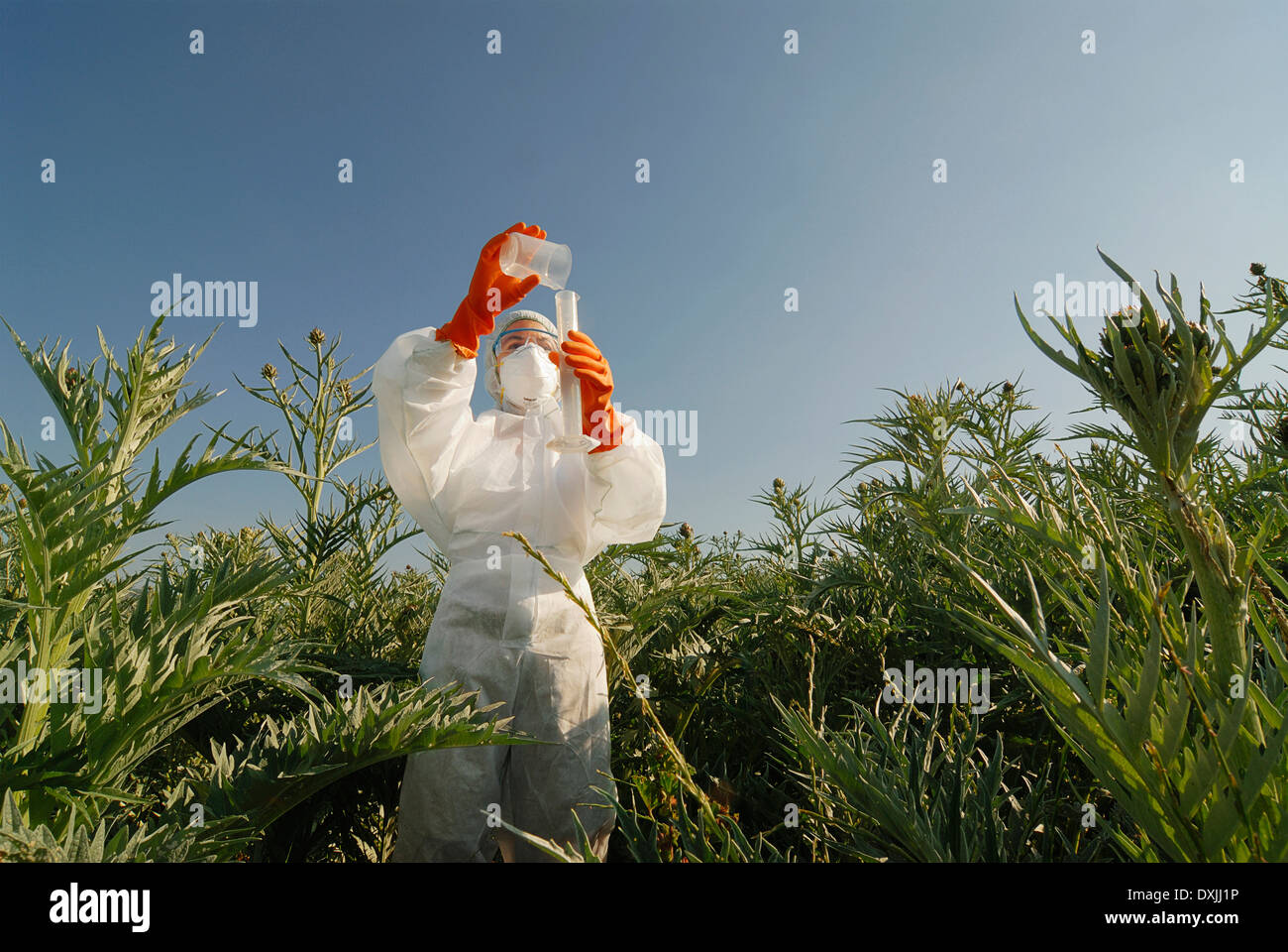 Frau im Blaumann stehend im Bereich Gießen Flüssigkeit in Reagenzglas Stockfoto