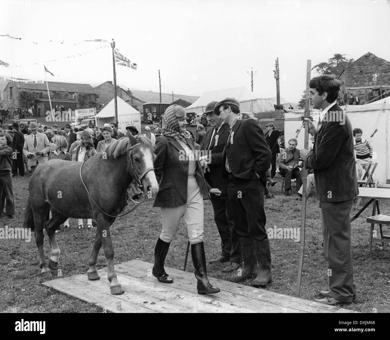 ES SOLLTE NICHT ZU EINEM TIERARZT GESCHEHEN. Stockfoto
