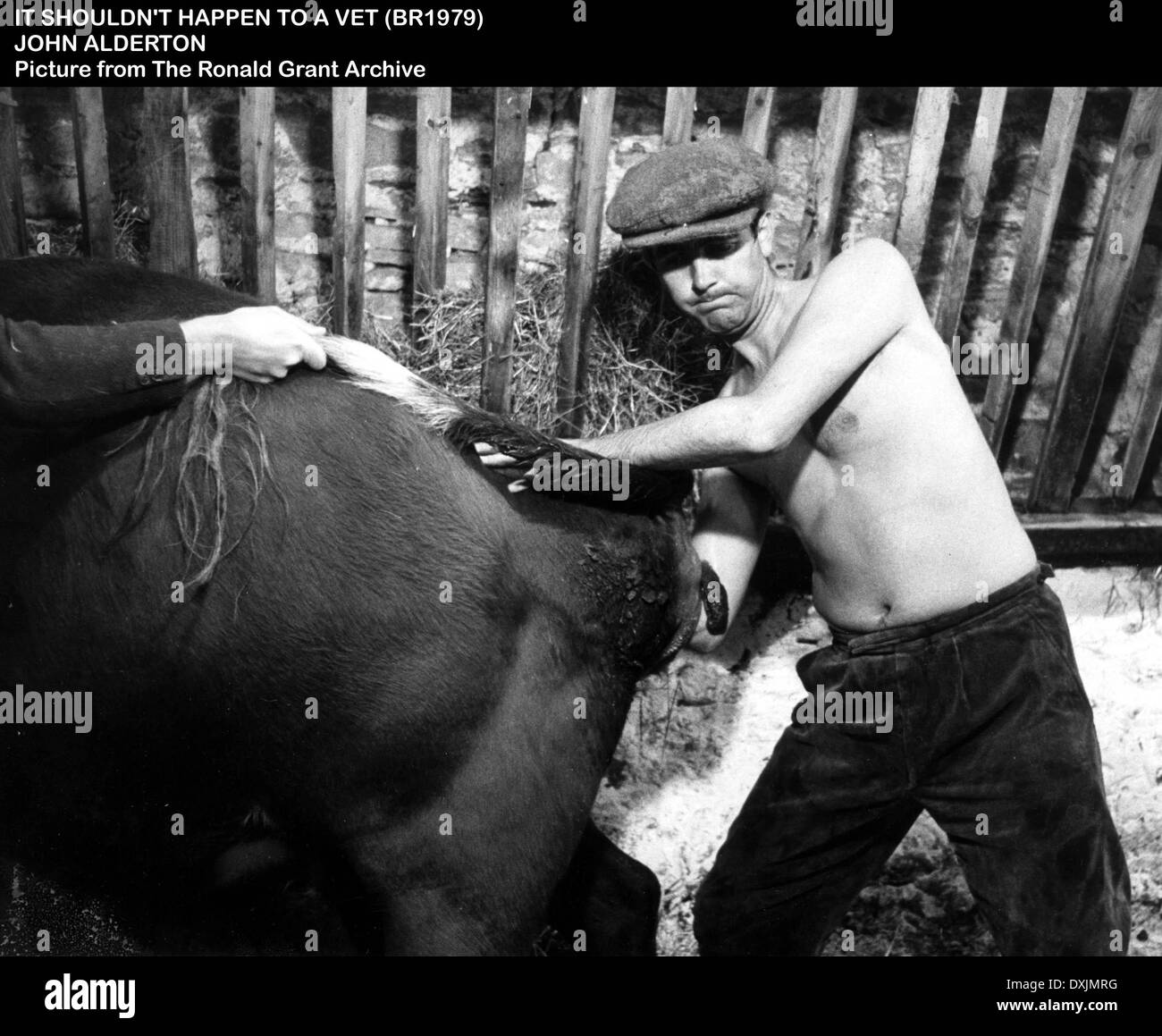 ES SOLLTE NICHT ZU EINEM TIERARZT GESCHEHEN. Stockfoto