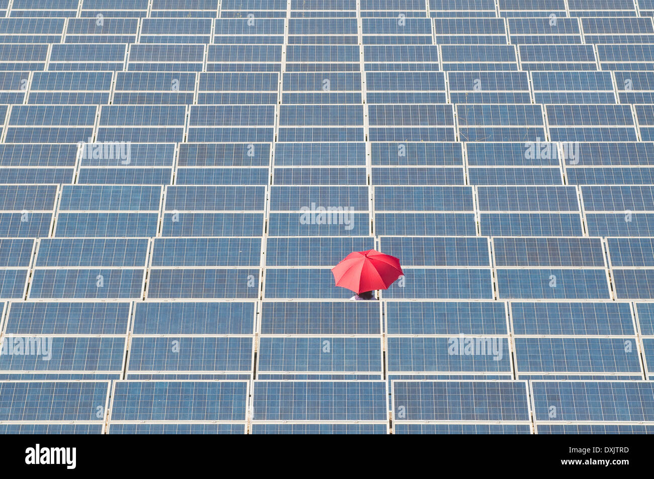 Frau mit roten Regenschirm in Solaranlage Stockfoto
