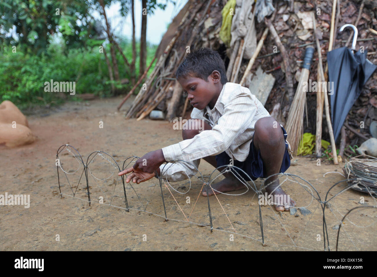Ein Junge Einstellung die Falle, um Ratten zu fangen. Birhor Stamm. Keredari Dorf und Block, Bezirk Hazaribaug, Jharkhand, Indien Stockfoto