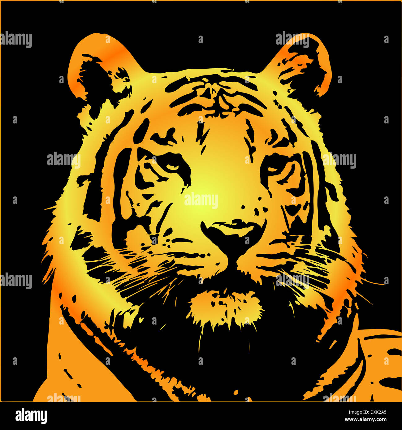 Tiger-Porträt Stockfoto