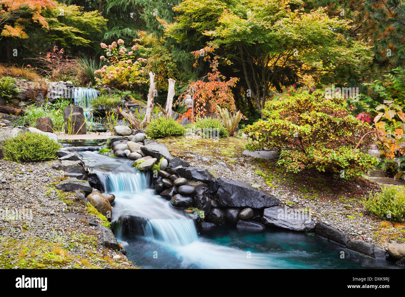 Herbstlaub auf Sträucher rund um den Wasserfall im Garten Stockfoto