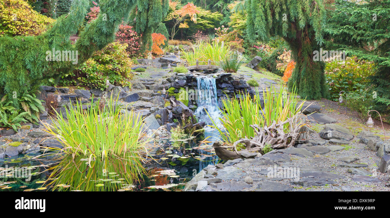 Herbstlaub auf Sträucher rund um den Wasserfall im Garten Stockfoto