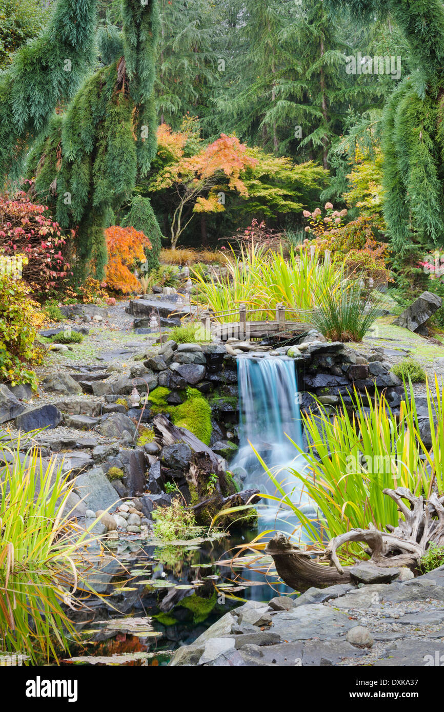 Herbstlaub auf Sträucher rund um den Wasserfall im Garten Stockfoto