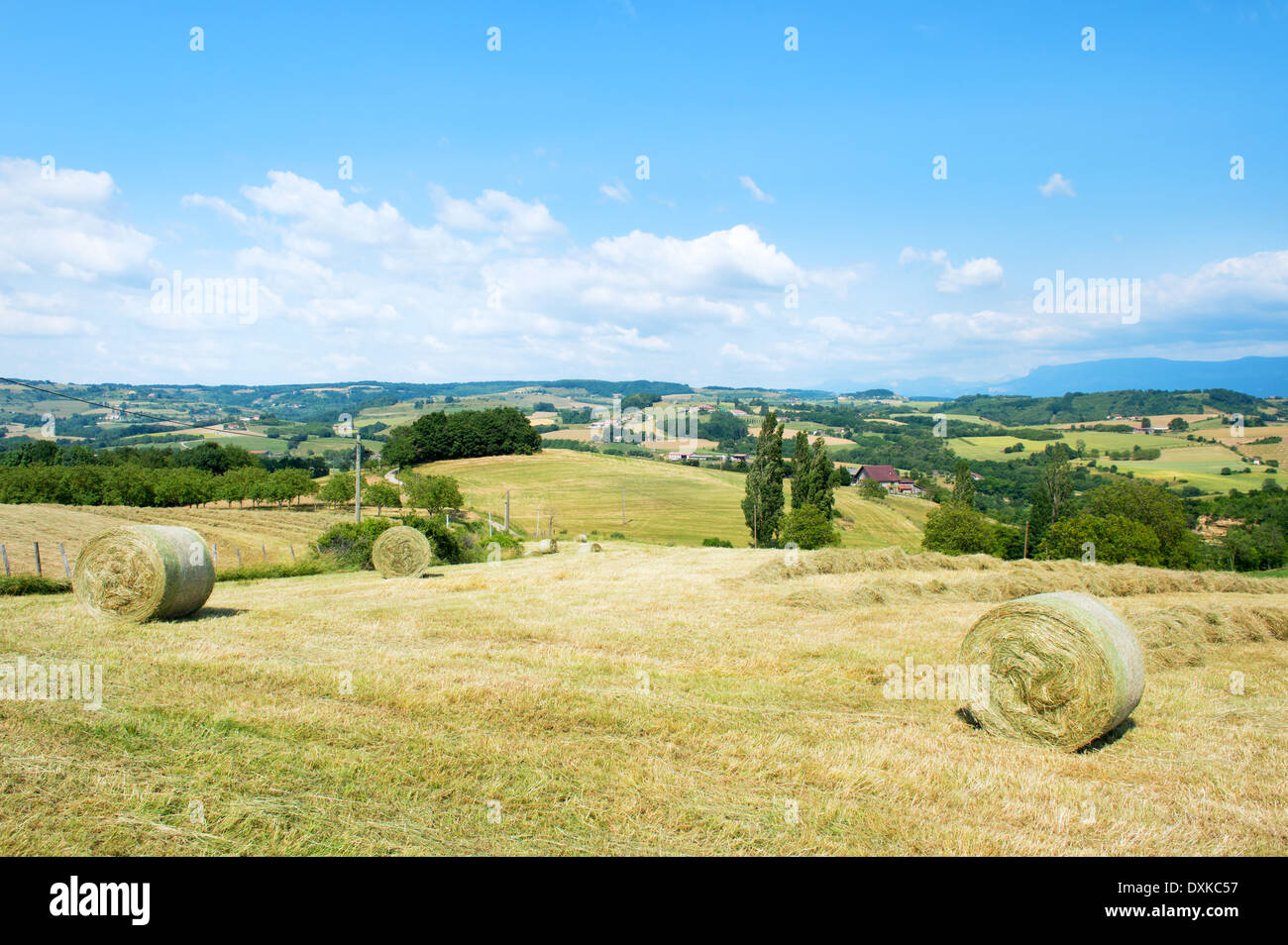 Französische Landschaft mit Hügeln und Rasen rollt Stockfoto