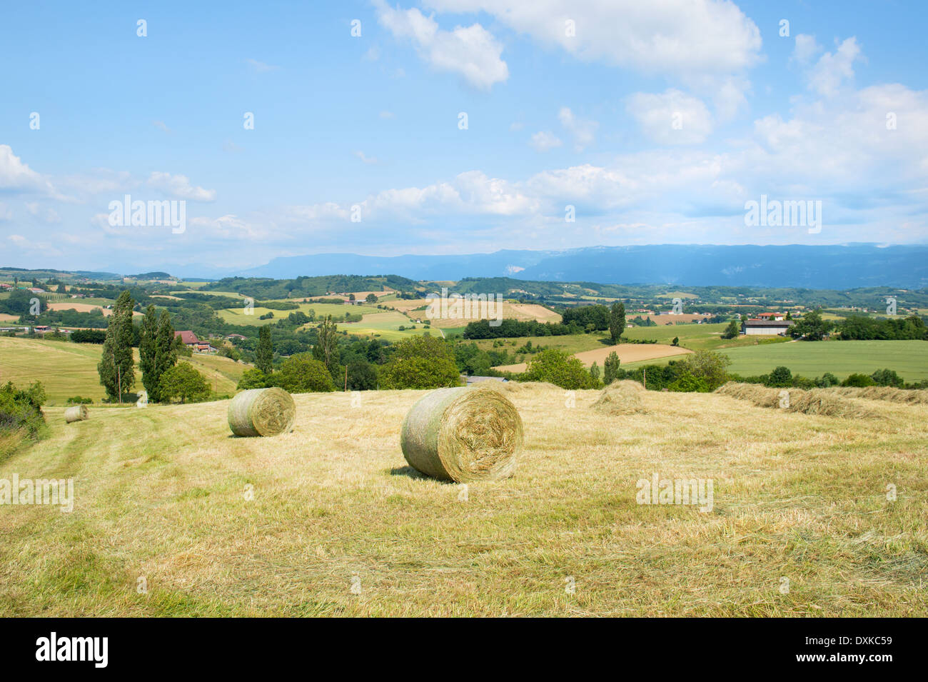 Französische Landschaft mit Hügeln und Rasen rollt Stockfoto