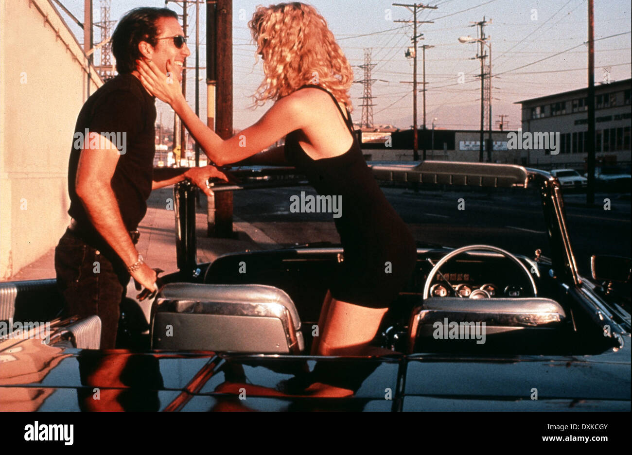 WILD AT HEART Stockfoto