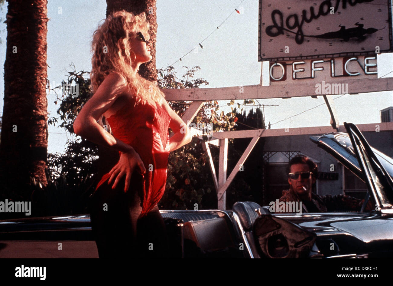 WILD AT HEART Stockfoto