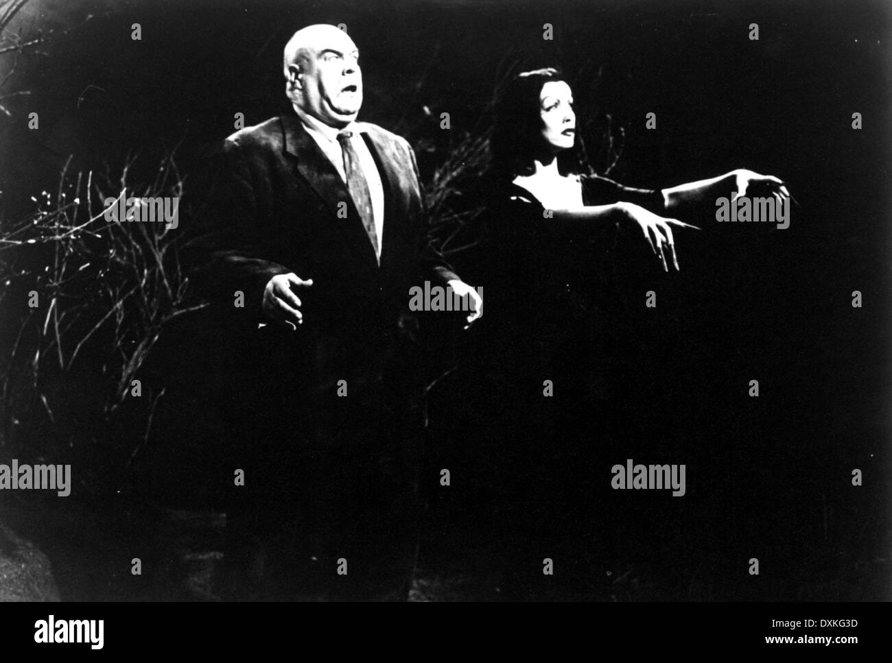 PLAN 9 FROM OUTER SPACE Stockfoto