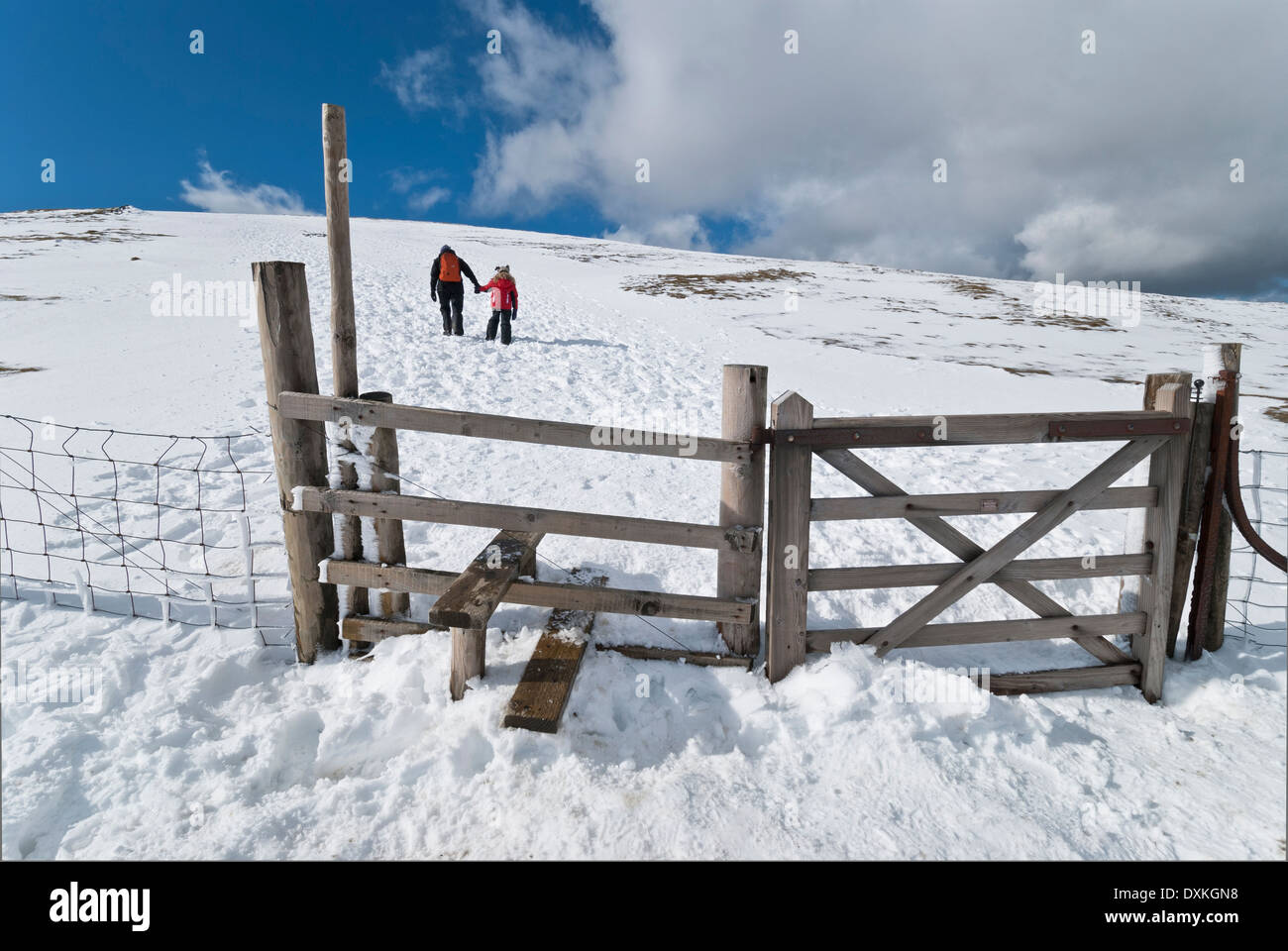 Weibliche Walker und Kind zu Fuß hinauf Skiddaw im Schnee im englischen Lake District. Stockfoto