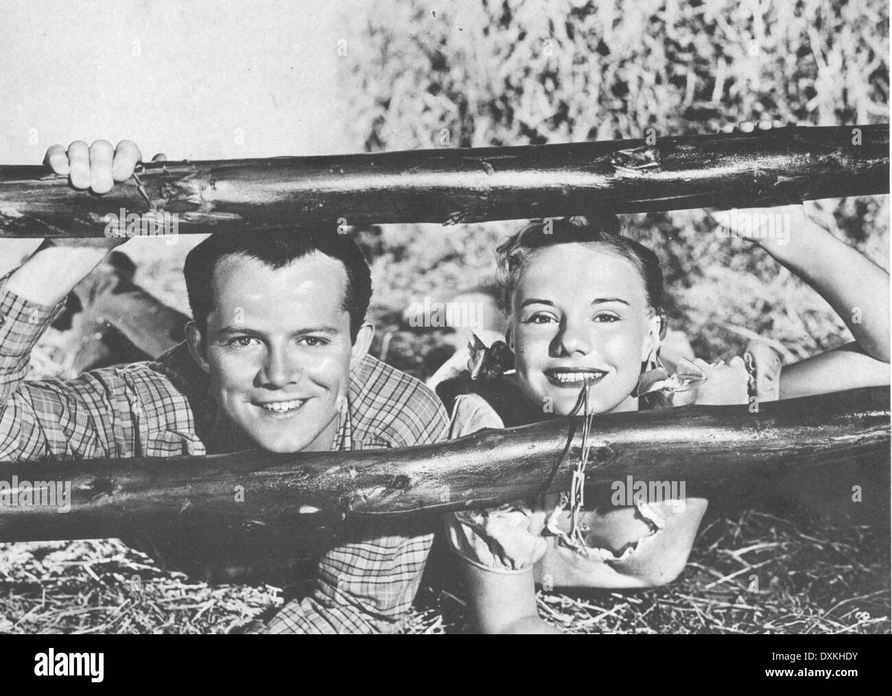 DIE GROßE KATZE Stockfoto