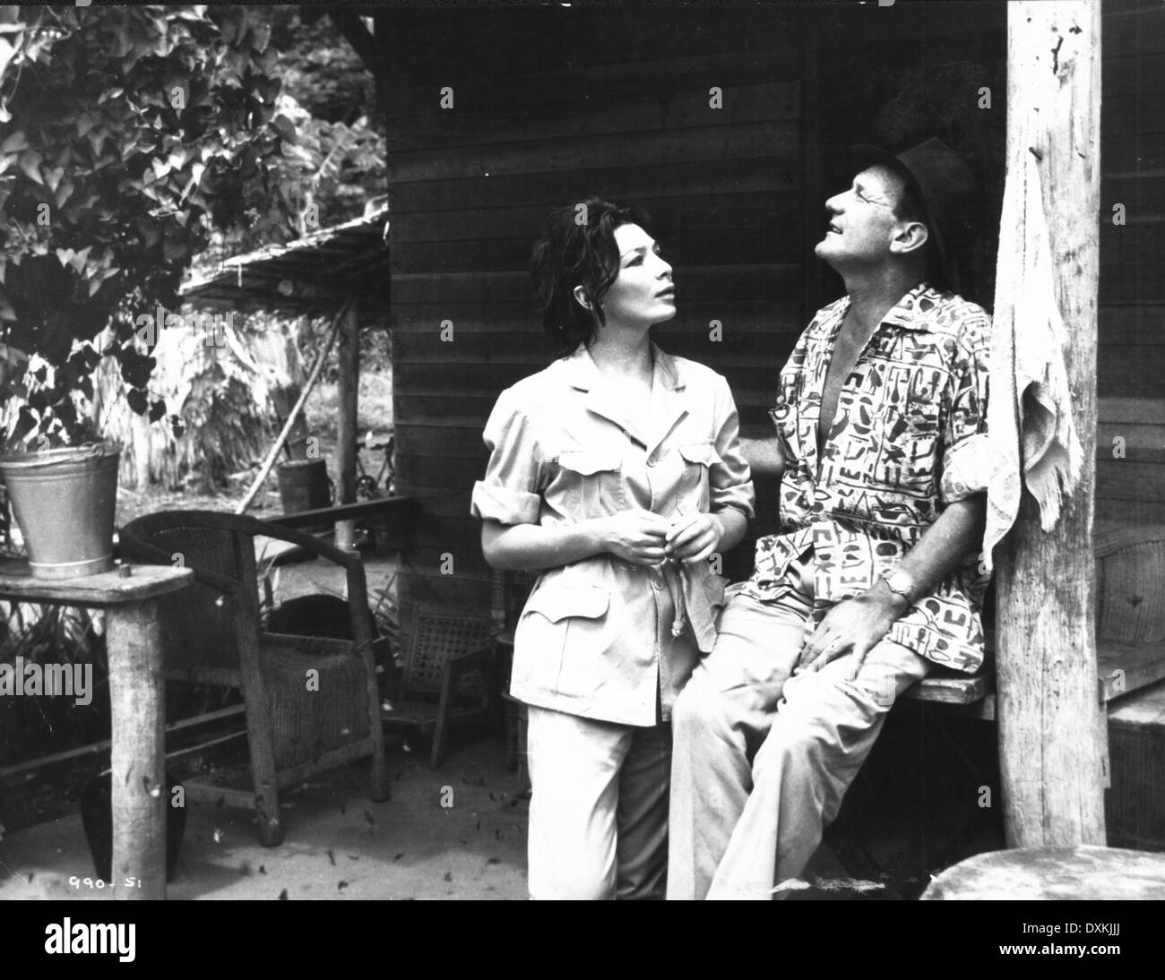 Wurzeln des himmels Fotos und Bildmaterial in hoher Auflösung Alamy