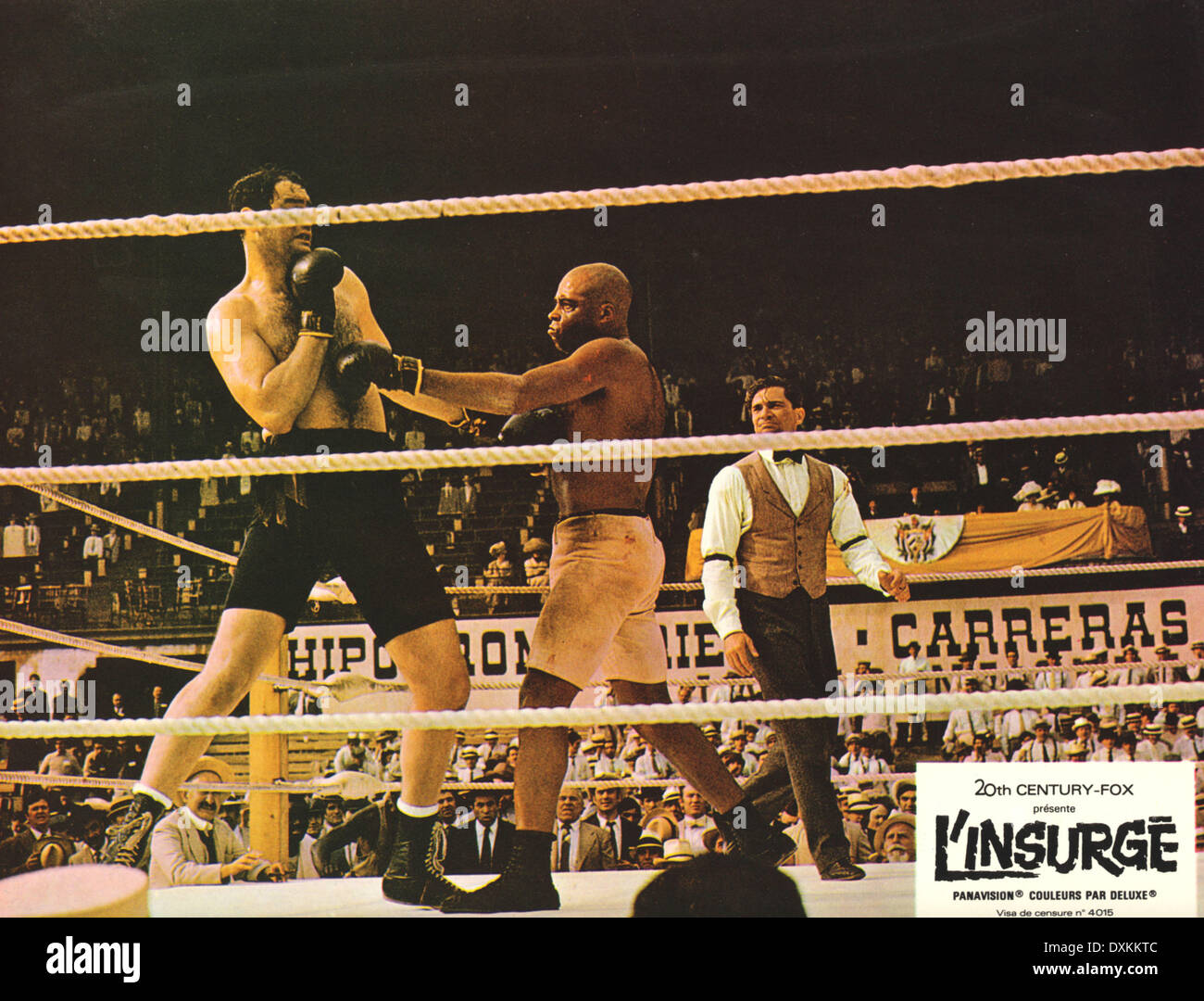 DIE GROßE WEIßE HOFFNUNG Stockfoto