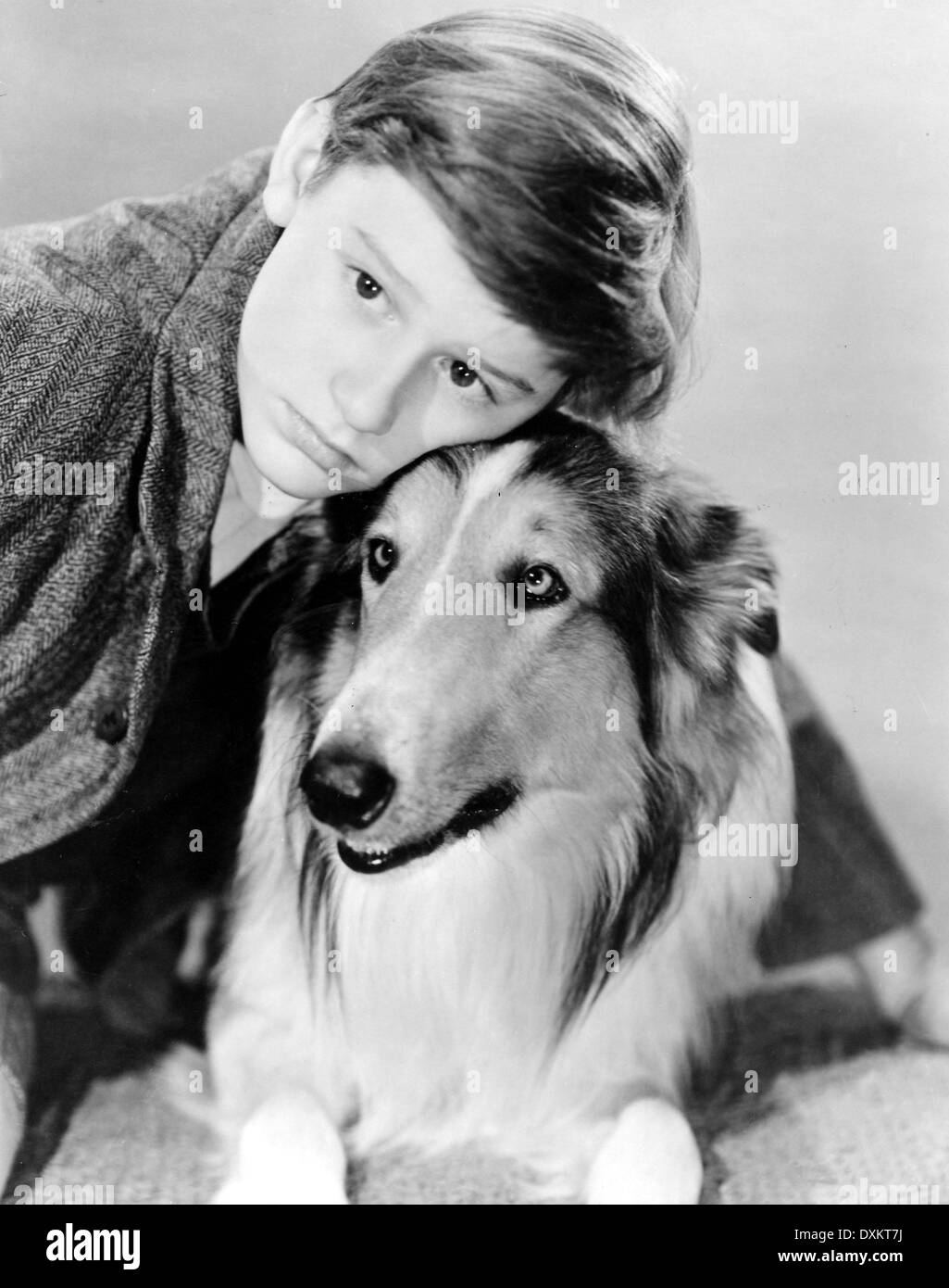 LASSIE COME HOME Stockfoto