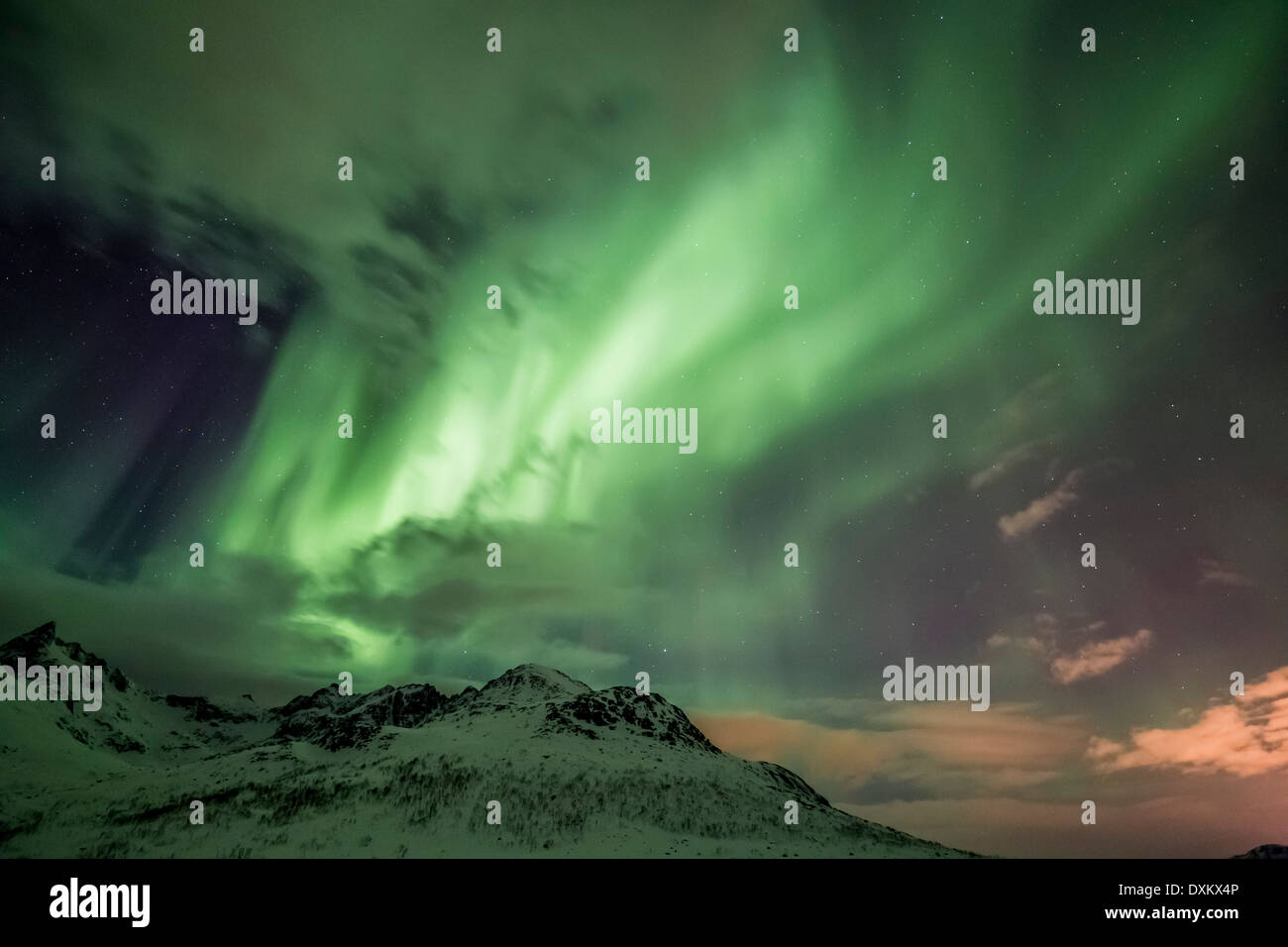 Aurora Borealis oder das Nordlicht über Nachthimmel innerhalb des Polarkreises Tromso Troms Kvaløya Region Norwegen Stockfoto