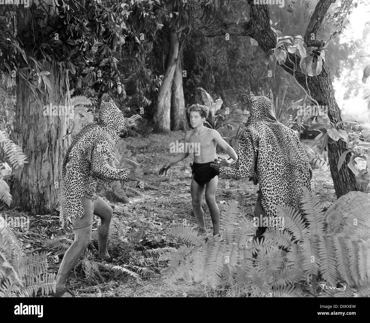 Tarzan und der leopard Fotos und Bildmaterial in hoher Auflösung Alamy