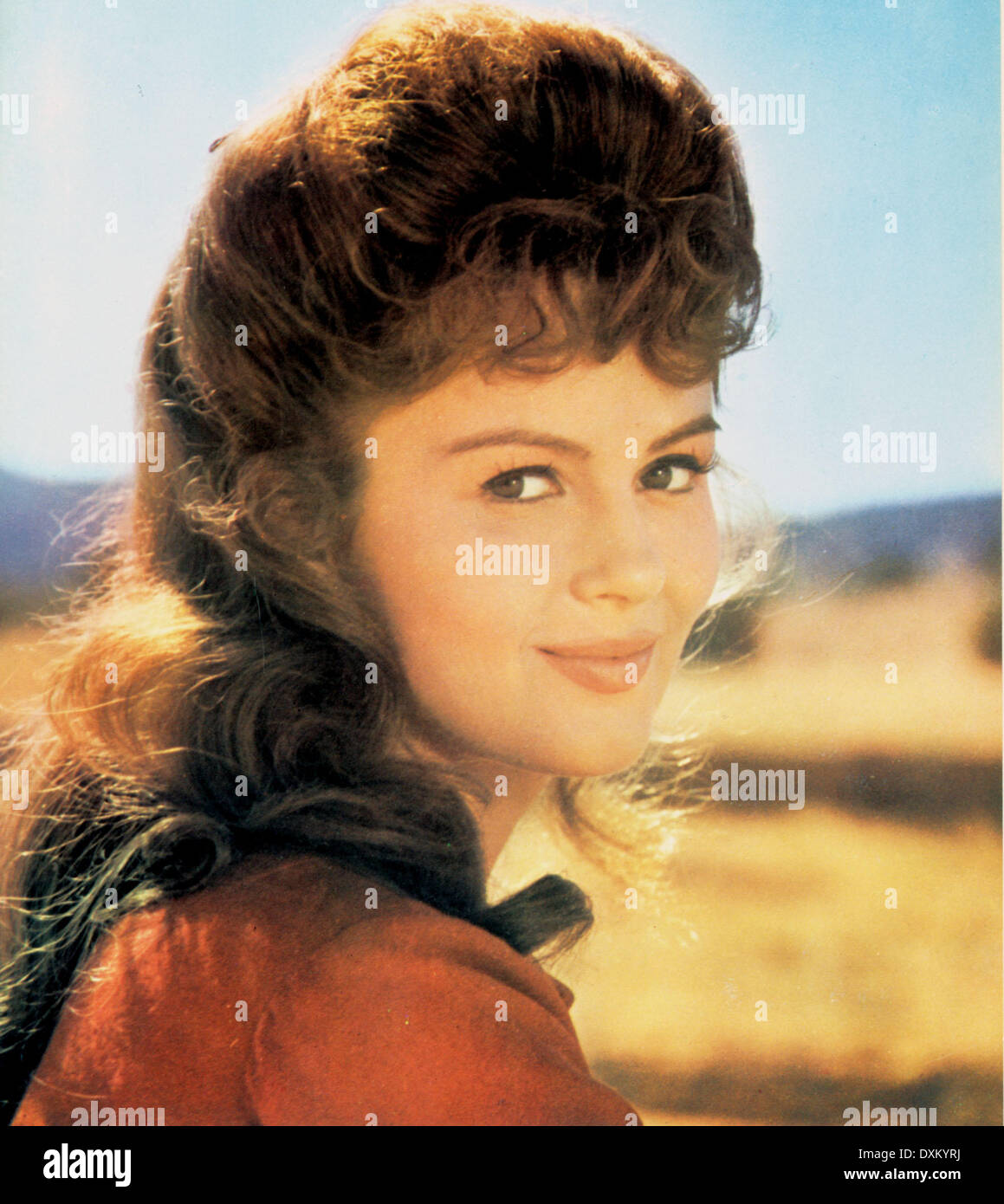 DIE HALLELUJAH TRAIL Stockfoto