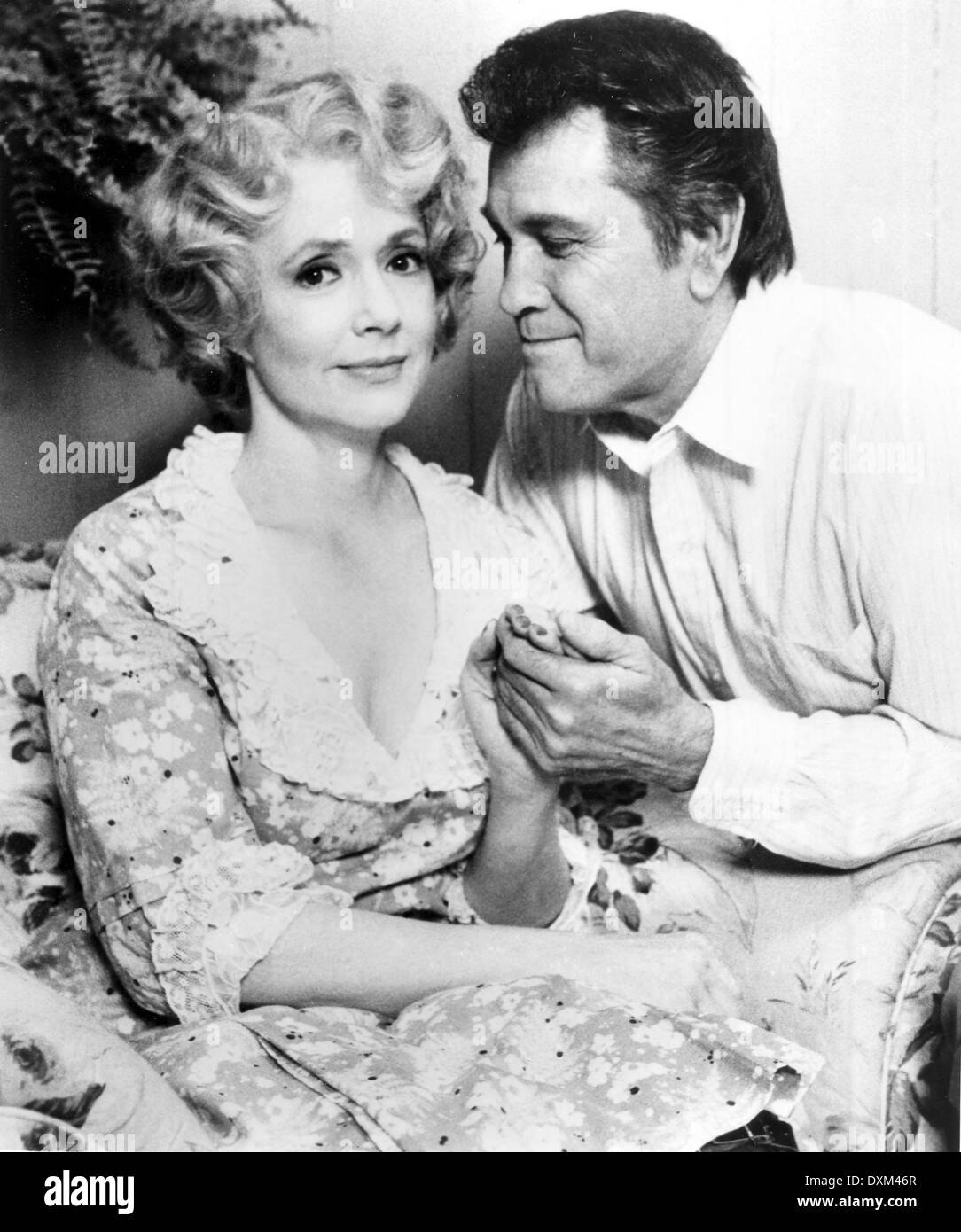 DIE DORNENVÖGEL Stockfoto