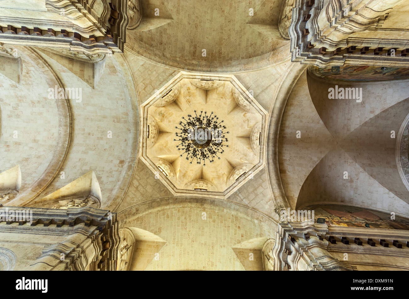 Plaza De La Cathedral De La Virgen Maria De La Concepcion Immaculada, Havanna, Kuba Stockfoto