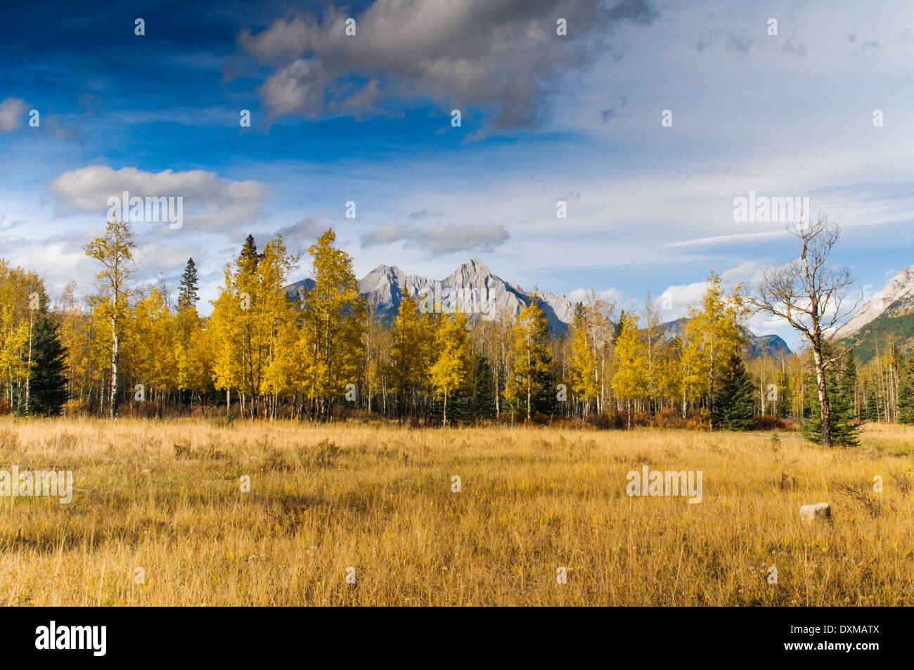 Scenic Mountain Views Kananaskis Country Alberta Kanada Stockfoto