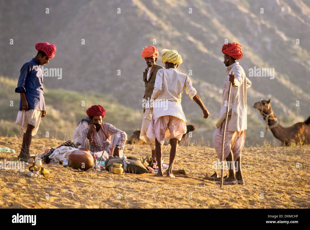 Gruppe von indischen Männern Feilschen um Kamel Preise bei Pushkar Camel fair, Indien Stockfoto