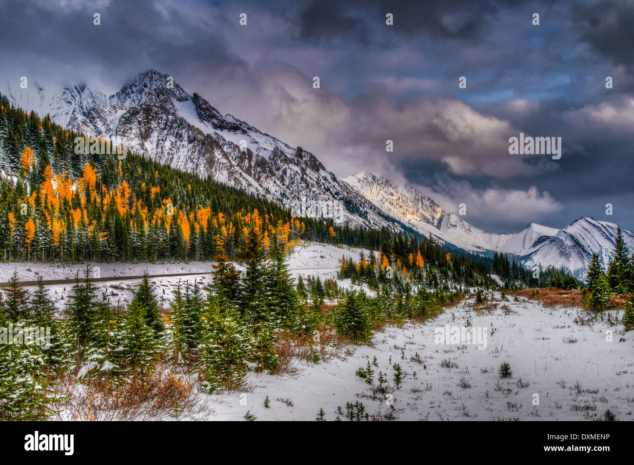 Scenic Mountain Views Kananaskis Country Alberta Kanada Stockfoto