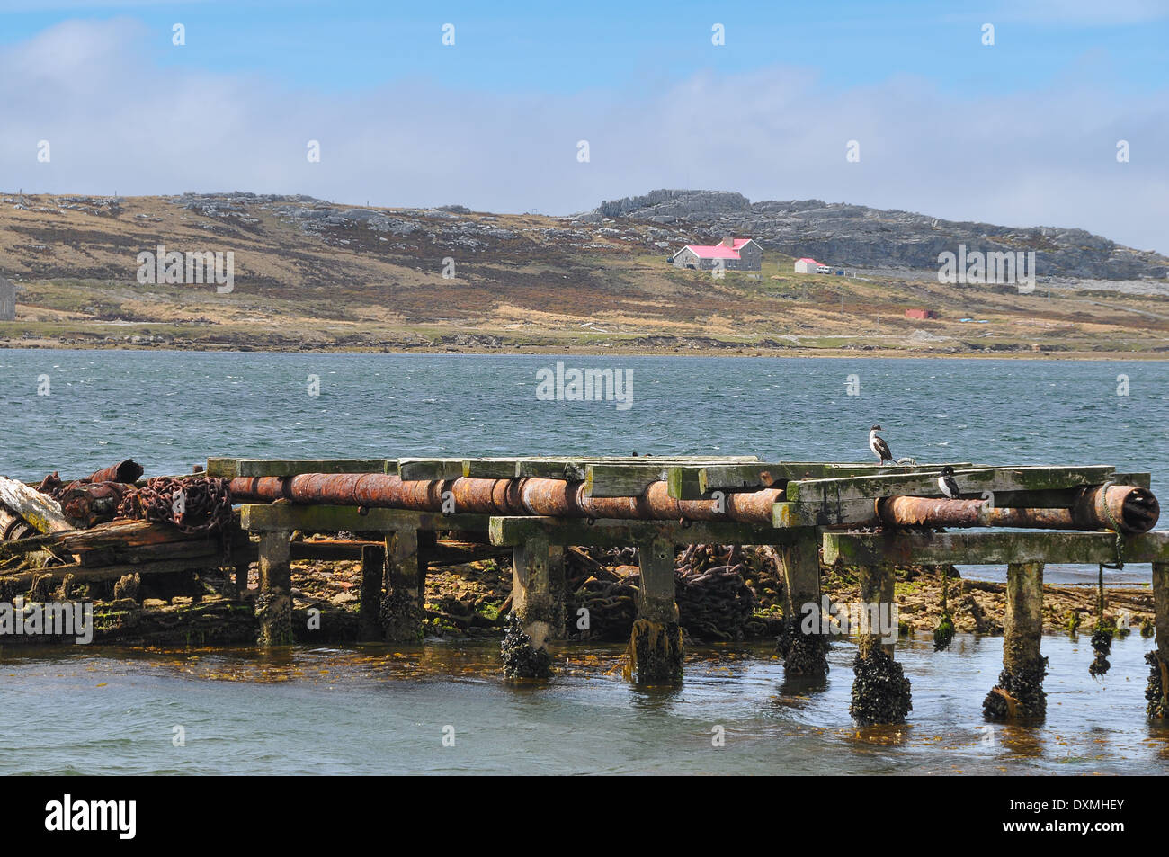 Hafen von Port Stanley Falkland-Inseln-Berge-Hintergrund Stockfoto