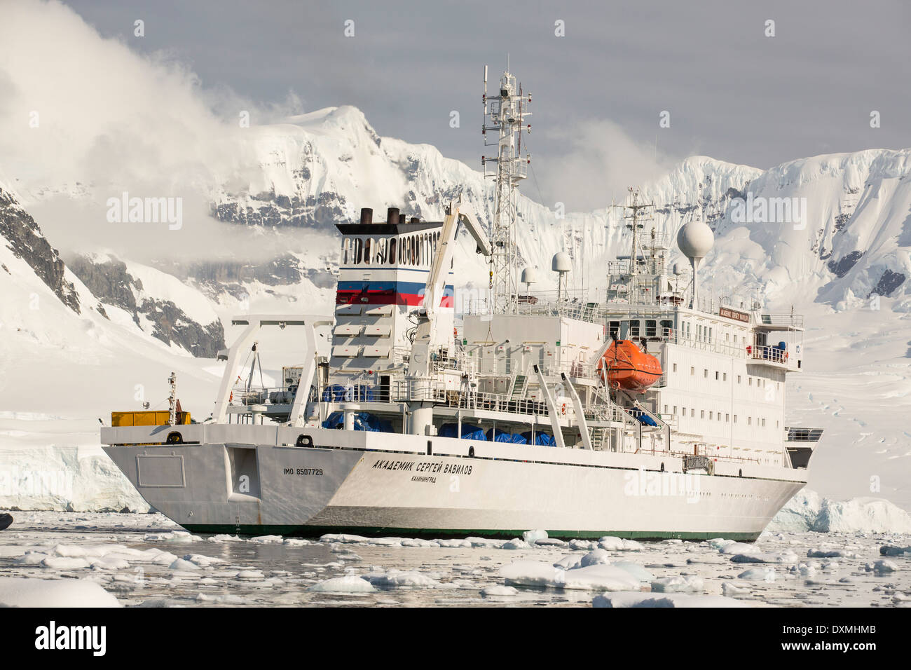 Die Akademik Sergey Vavilov, verstärkt ein Eis Schiff bei einer Expedition in die Antarktis Stockfoto