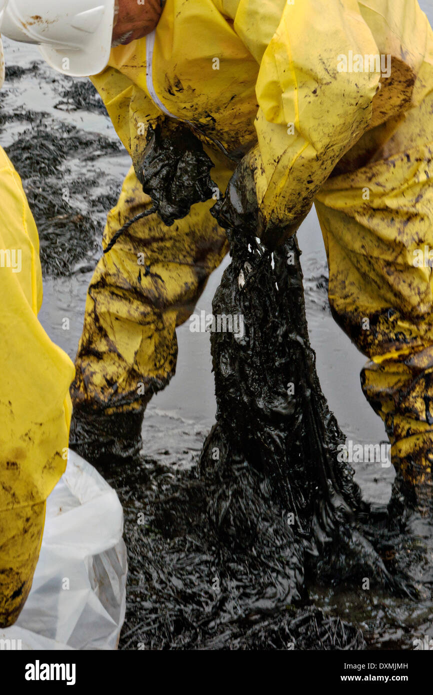 Cleanup Besatzungen füllen Taschen mit geölten Sand und Schutt nach einer Kollision zwischen einem Massengutfrachter und das Schiff in der Nähe von Texas City Deich verschütten Öl in einem ökologisch sensiblen Gebiet am großen Riff 26. März 2014 in Galveston, Texas. Stockfoto