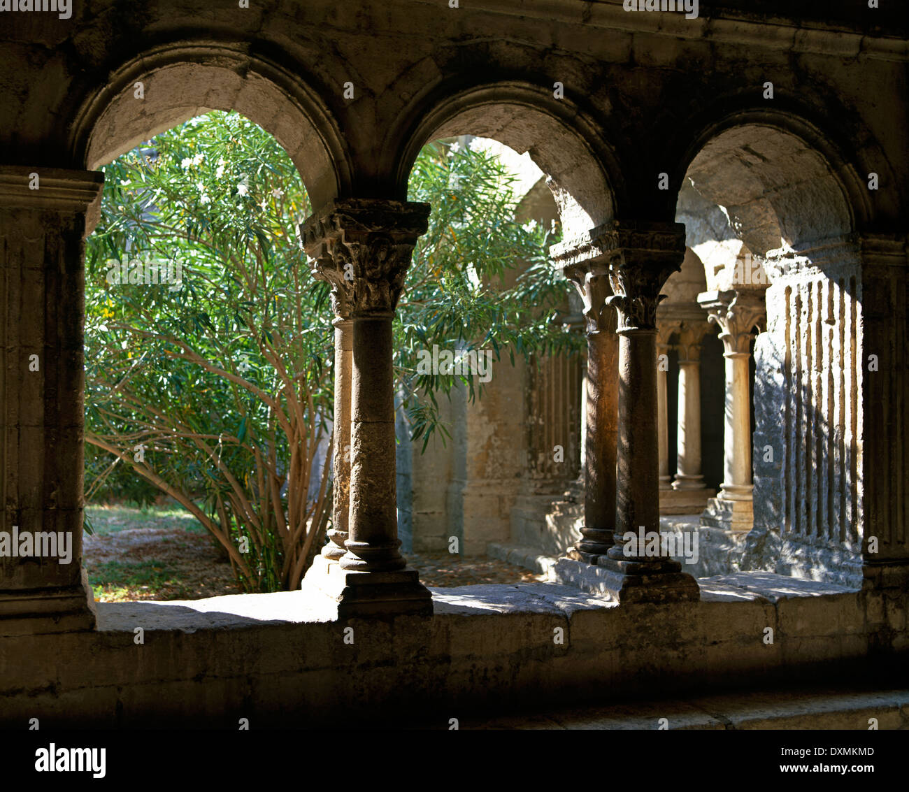 Abbaye de Montmajour Provence Frankreich Klostergebäude aus dem 12. Bis 13. Jahrhundert Stockfoto