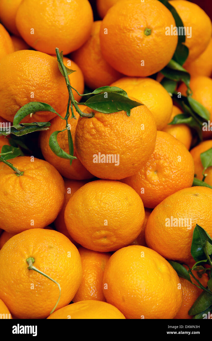 Orangen gesehen auf einem lokalen Markt auf der Insel Mallorca, Spanien Stockfoto