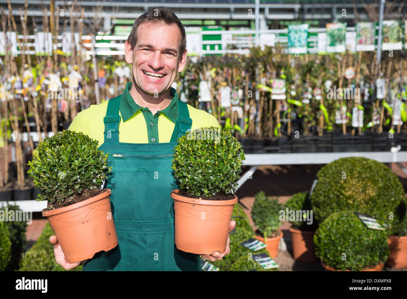 Gärtner mit Buchsbaum posiert im Kinderzimmer oder im Garten Stockfoto