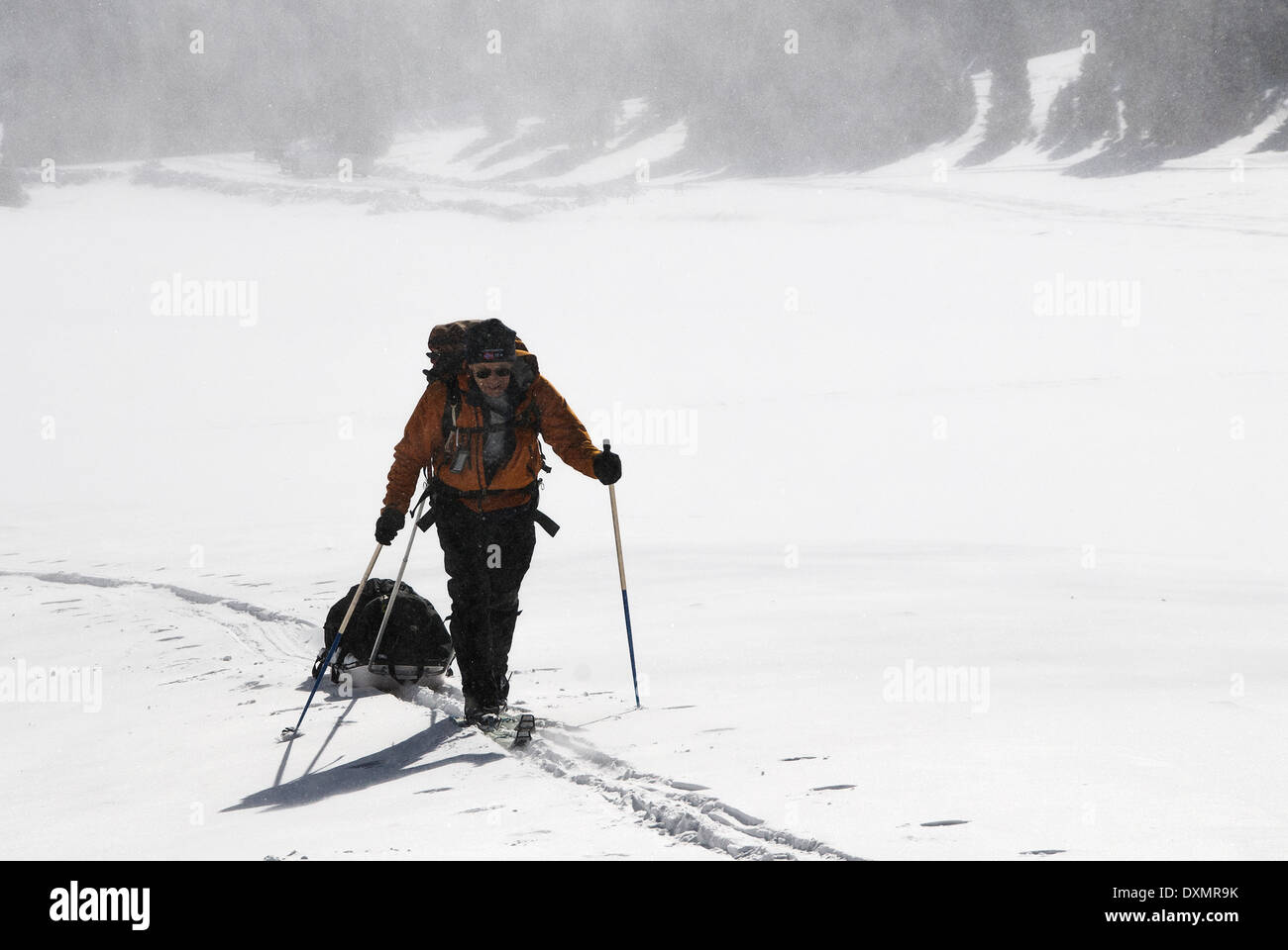 Mike Vining Skitouren Trujillo Wiesen Jurte Rio Grande National Forest Colorado USA Stockfoto