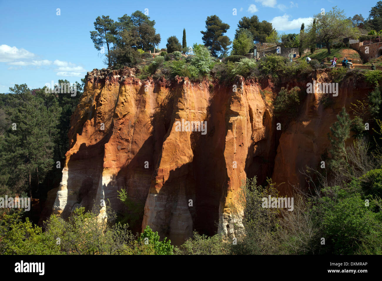 Ockerfarbenen Klippen in Roussillon Frankreich Stockfoto