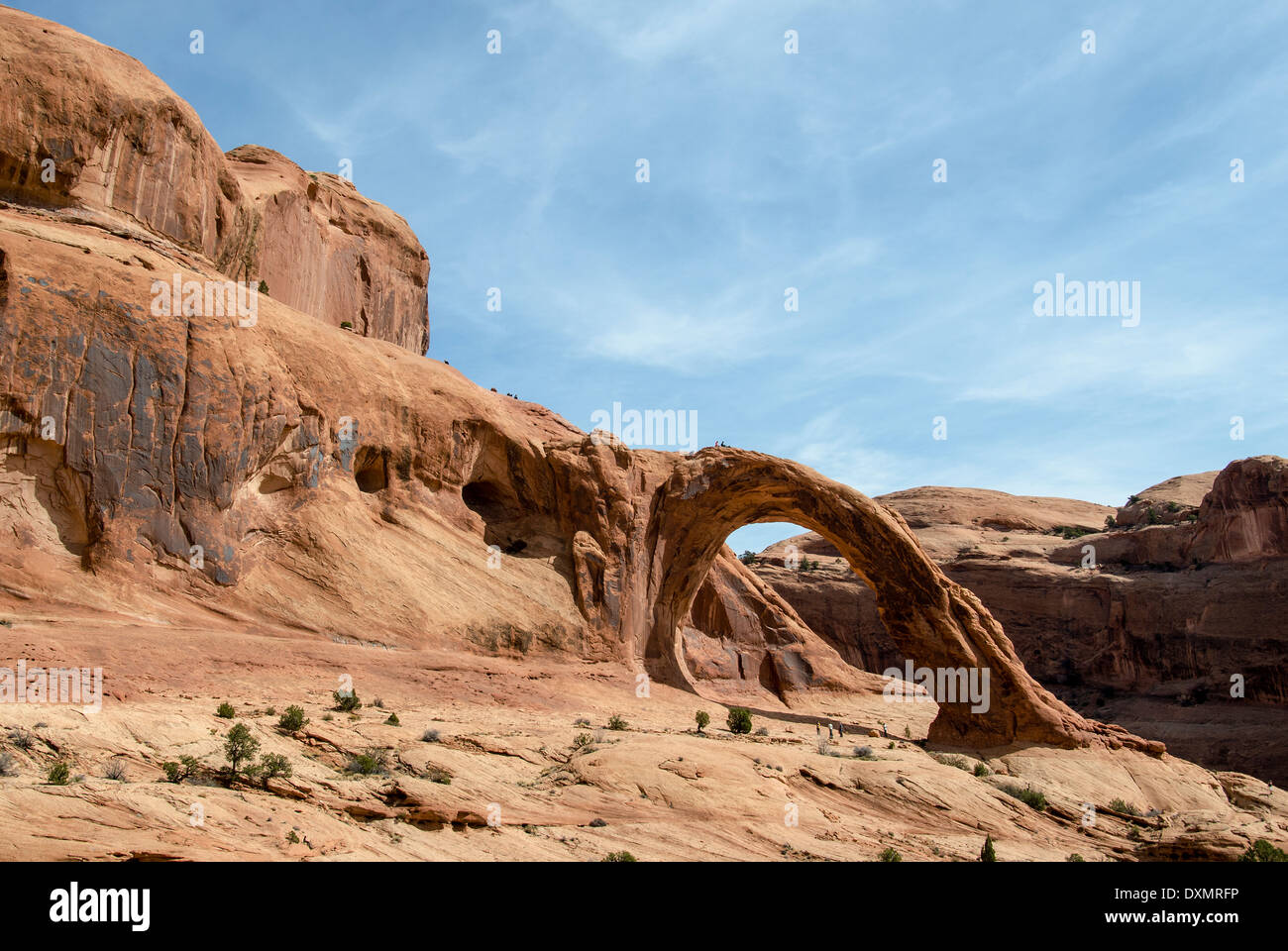 Corona Arch Moab Utah USA Stockfoto