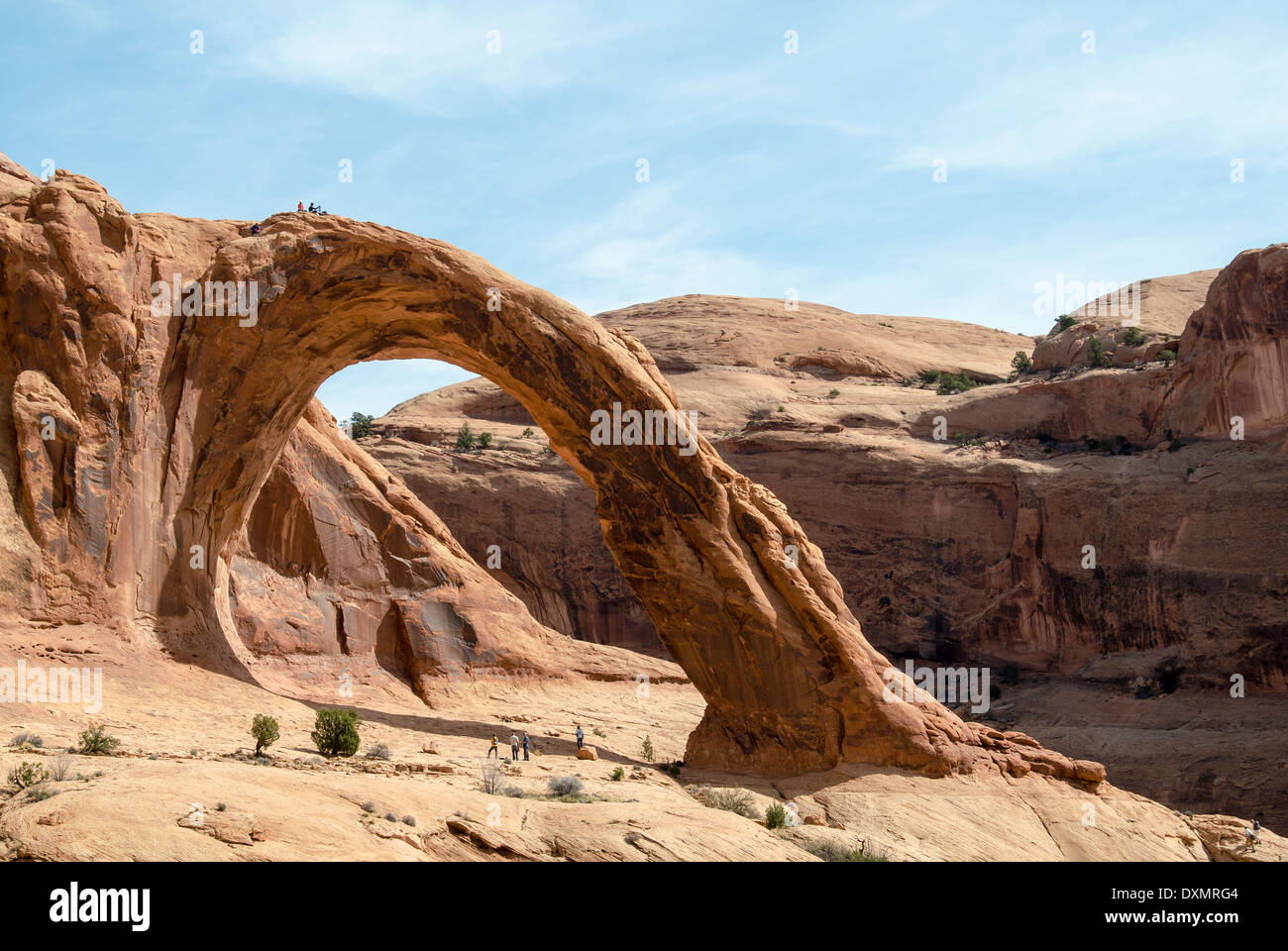 Corona Arch Moab Utah USA Stockfoto