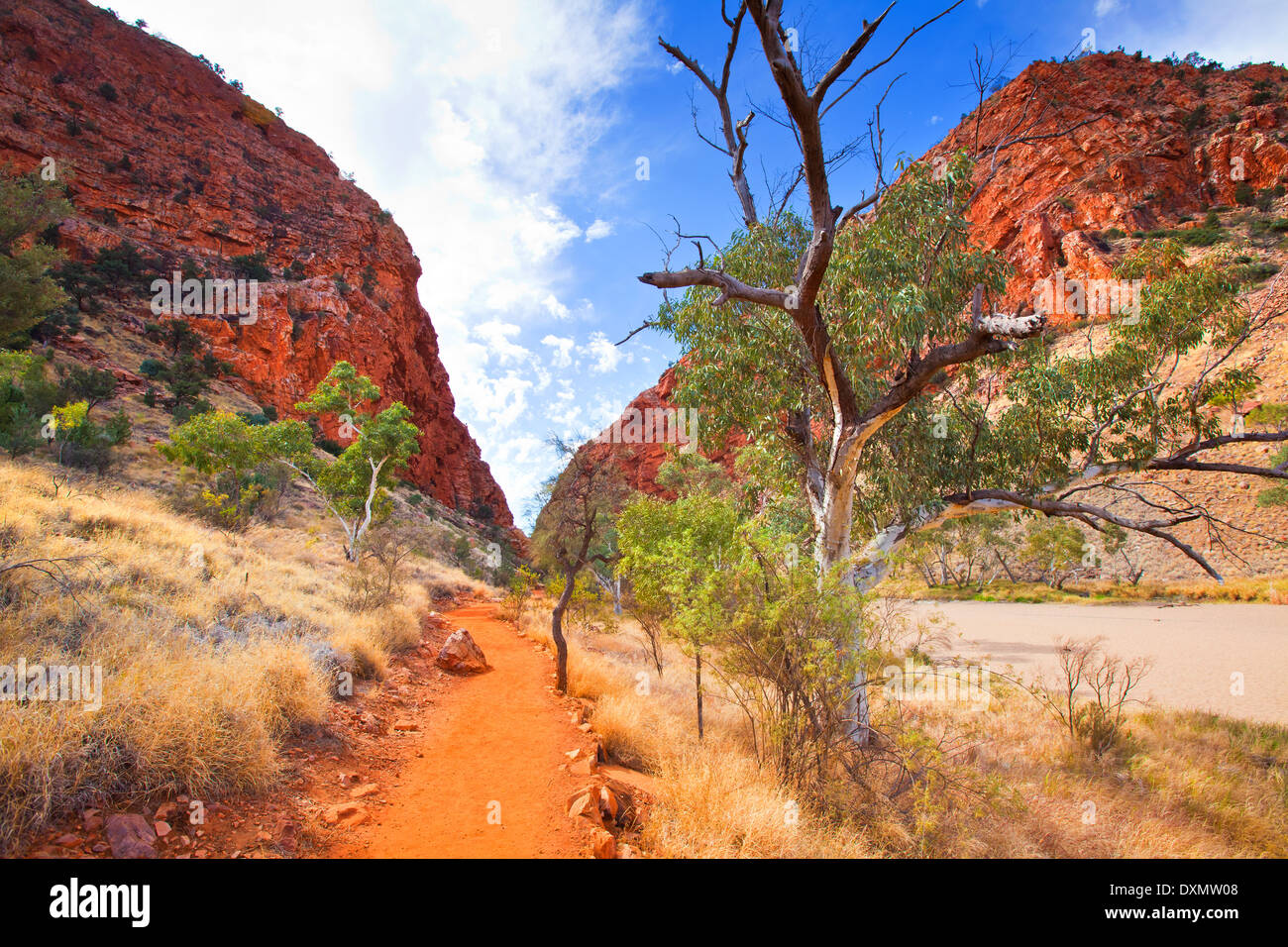Simpson Lücke West MacDonnell reicht Zentralaustralien Northern Territory Stockfoto