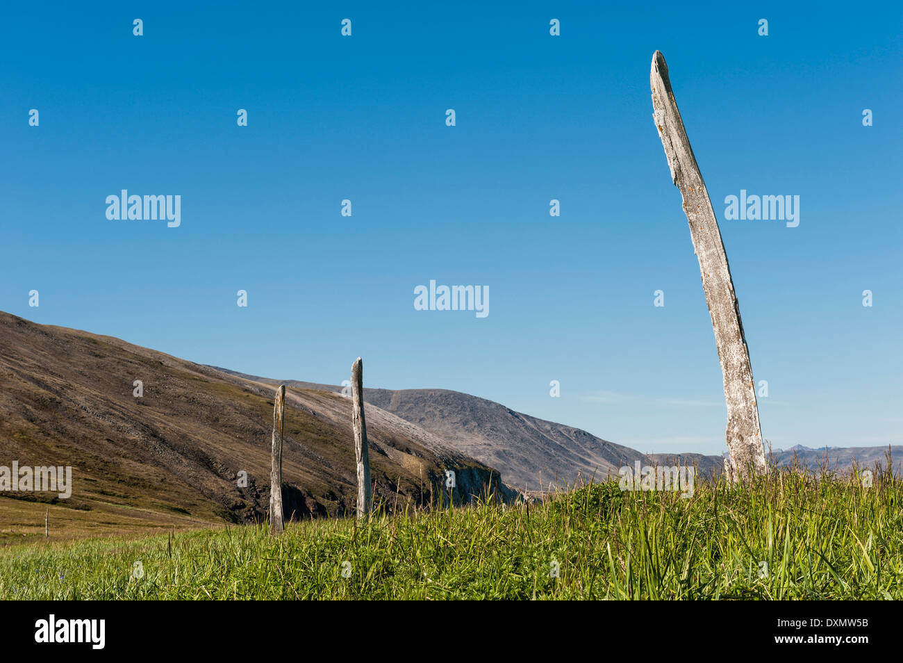 Wal-Knochen Alley, Ittygran Insel, Tschukotka, Russland Stockfoto