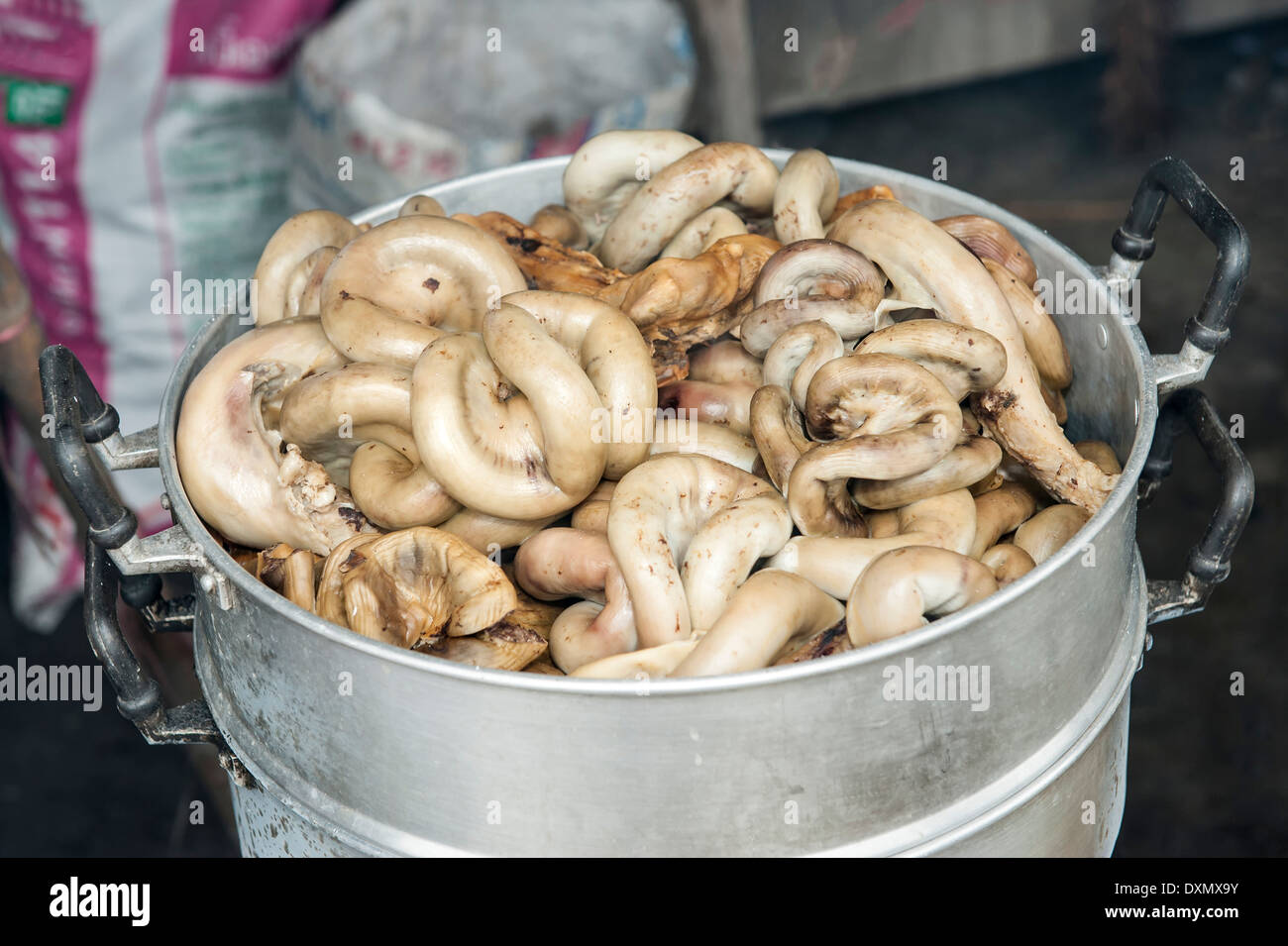 Empfänger mit Ausflügen, Markt in Zentral-Thailand Stockfoto